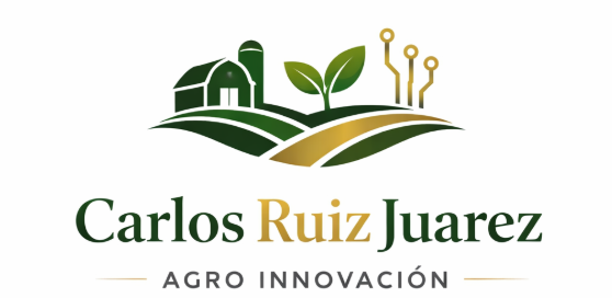 Carlos Ruiz Juarez