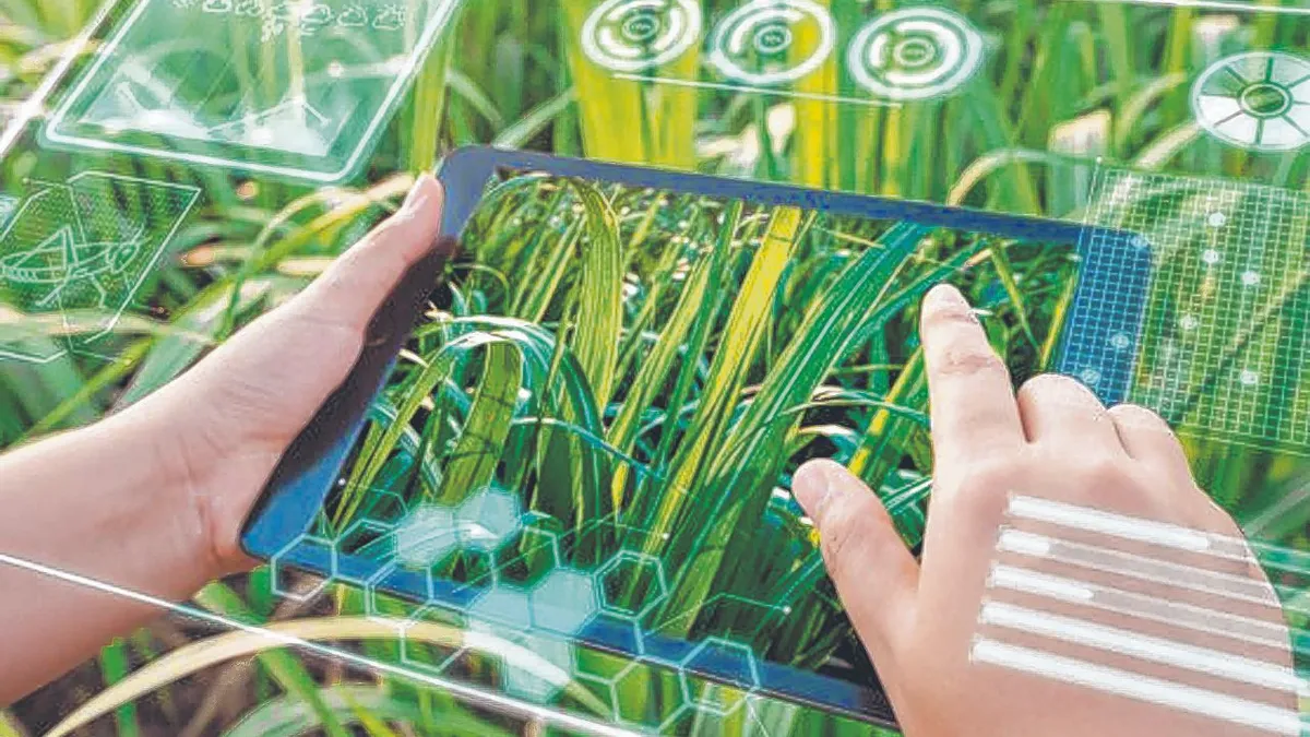 En este momento estás viendo La tecnología en el agro: Argentina y la exportación de conocimiento